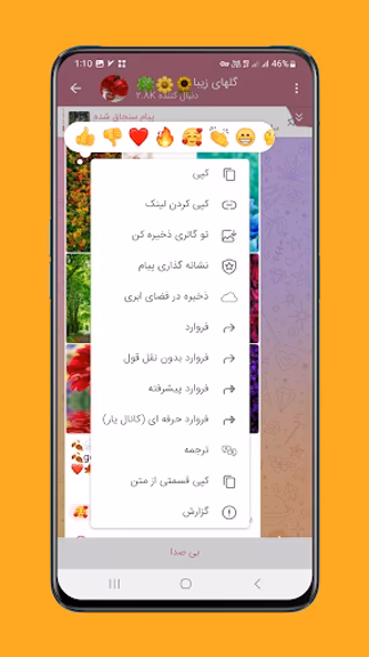 Elgrami Screenshot 2 - AppWisp.com