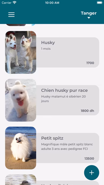 Happy Pet: Adoption Coupling Screenshot 3 - AppWisp.com Happy Pet: Adoption Coupling Screenshot 3 - AppWisp.com