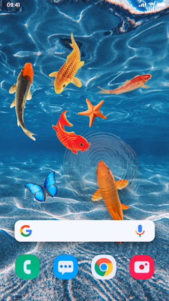 Fish Live Wallpaper Tank Touch Screenshot 1 - AppWisp.com Fish Live Wallpaper Tank Touch Screenshot 1 - AppWisp.com
