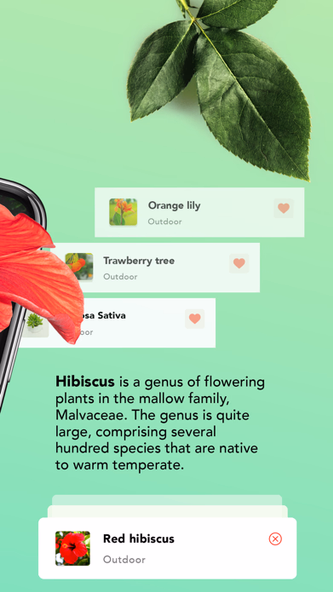 Plant Identification・Plant ID Screenshot 2 - AppWisp.com Plant Identification・Plant ID Screenshot 2 - AppWisp.com