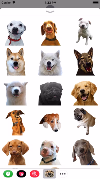 Funny Doge Animated Stickers Screenshot 1 - AppWisp.com Funny Doge Animated Stickers Screenshot 1 - AppWisp.com