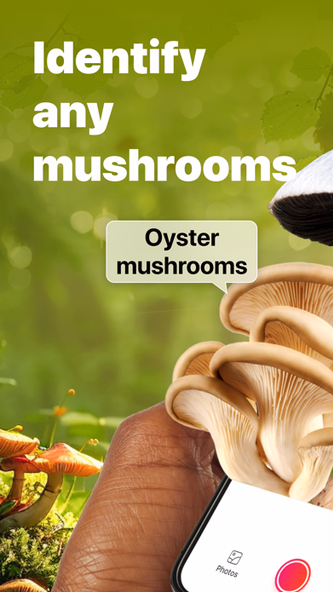 Picture Mushroom: Identifier Screenshot 1 - AppWisp.com Picture Mushroom: Identifier Screenshot 1 - AppWisp.com