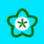 Tiffanys Florist - AppWisp.com