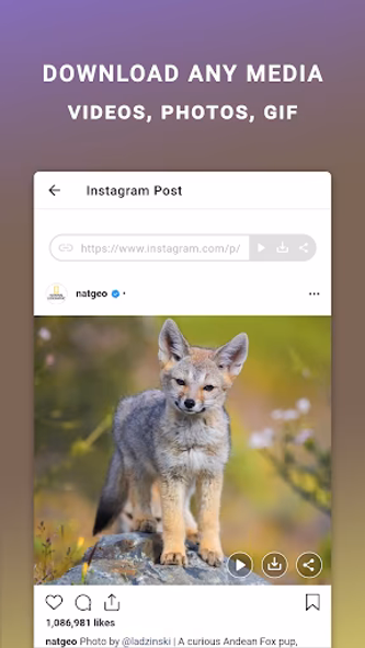 Friendly For Instagram Screenshot 2 - AppWisp.com Friendly For Instagram Screenshot 2 - AppWisp.com
