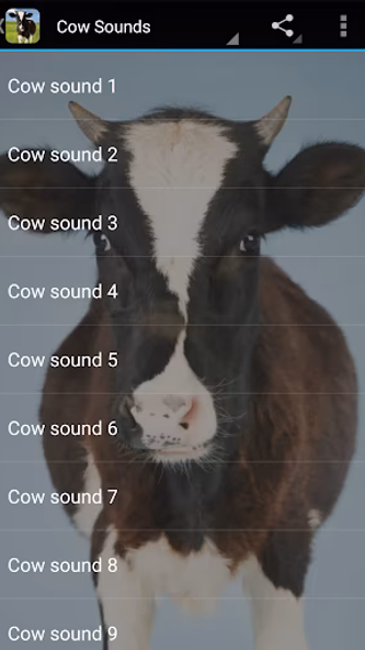 Cow Sounds Screenshot 1 - AppWisp.com Cow Sounds Screenshot 1 - AppWisp.com