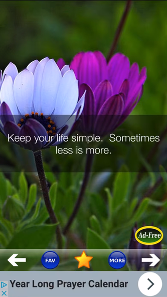 Daily Self Improvement Help and Positive Life Tips Screenshot 3 - AppWisp.com Daily Self Improvement Help and Positive Life Tips Screenshot 3 - AppWisp.com