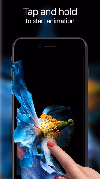 Your Live Wallpapers Screenshot 2 - AppWisp.com Your Live Wallpapers Screenshot 2 - AppWisp.com