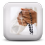 O Santo Terço - AppWisp.com