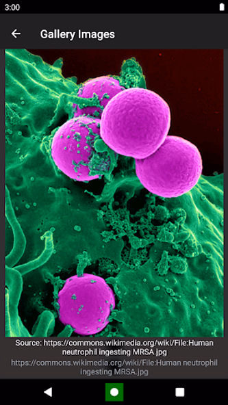 Bacteria: Types, Infections Screenshot 4 - AppWisp.com Bacteria: Types, Infections Screenshot 4 - AppWisp.com