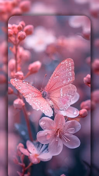 Pink Wallpaper HD background Screenshot 2 - AppWisp.com Pink Wallpaper HD background Screenshot 2 - AppWisp.com