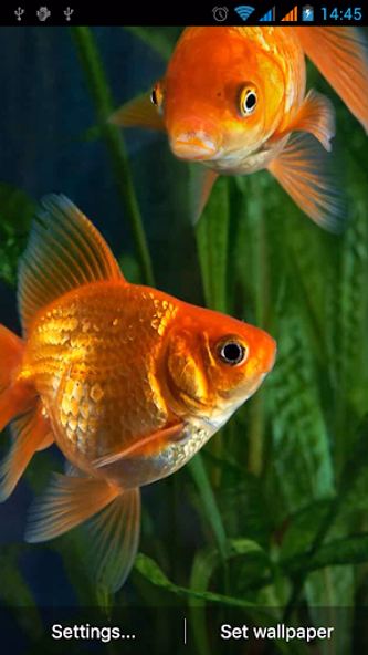 Aquarium Live Wallpaper Screenshot 1 - AppWisp.com Aquarium Live Wallpaper Screenshot 1 - AppWisp.com