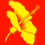 Libraries Hawaii - AppWisp.com