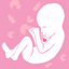 Hear My Baby Heartbeat Monitor - AppWisp.com