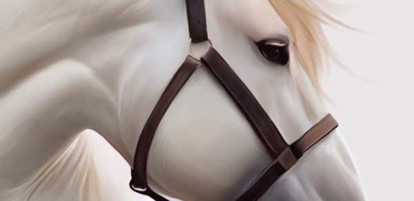 Horse Wallpaper HD: Themes Header - AppWisp.com Horse Wallpaper HD: Themes Header - AppWisp.com