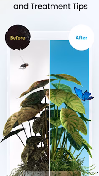 Plant App - Plant Identifier Screenshot 4 - AppWisp.com Plant App - Plant Identifier Screenshot 4 - AppWisp.com
