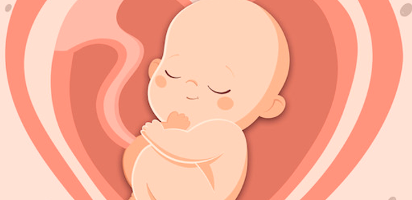 HiMommy: Ovulation & Pregnancy Header - AppWisp.com HiMommy: Ovulation & Pregnancy Header - AppWisp.com
