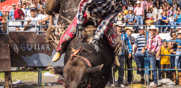 Rodeo Wallpapers 2023 HD 4K Header - AppWisp.com Rodeo Wallpapers 2023 HD 4K Header - AppWisp.com