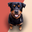 Barking Dog Sounds Ringtones - AppWisp.com