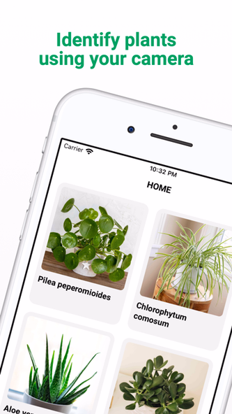 Plant ID - Identify Plants Screenshot 1 - AppWisp.com Plant ID - Identify Plants Screenshot 1 - AppWisp.com