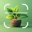 Bloomify - Plant Identifier - AppWisp.com