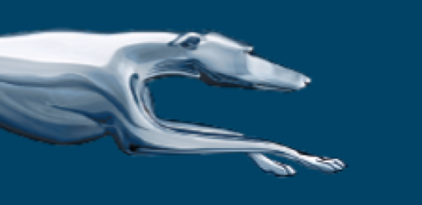 Greyhound: Buy Bus Tickets Header - AppWisp.com Greyhound: Buy Bus Tickets Header - AppWisp.com