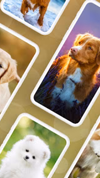 Dog Wallpapers & Puppy 4K Screenshot 1 - AppWisp.com Dog Wallpapers & Puppy 4K Screenshot 1 - AppWisp.com