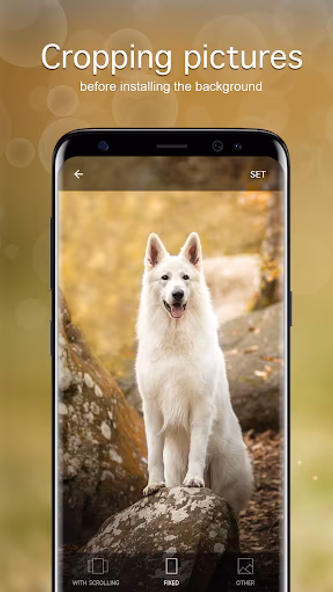 Dog Wallpapers & Puppy 4K Screenshot 4 - AppWisp.com Dog Wallpapers & Puppy 4K Screenshot 4 - AppWisp.com