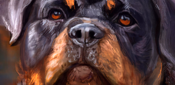 rottweiler wallpaper Header - AppWisp.com rottweiler wallpaper Header - AppWisp.com