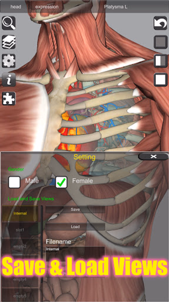 3D Bones and Organs (Anatomy) Screenshot 4 - AppWisp.com 3D Bones and Organs (Anatomy) Screenshot 4 - AppWisp.com
