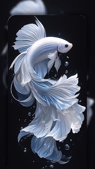 Betta Fish Wallpaper 4K Screenshot 1 - AppWisp.com Betta Fish Wallpaper 4K Screenshot 1 - AppWisp.com