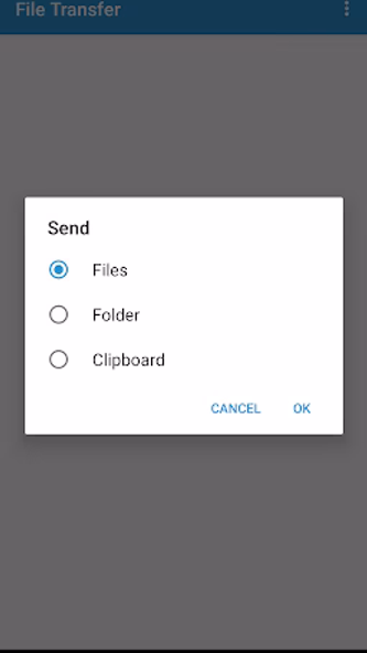 File Transfer Screenshot 2 - AppWisp.com File Transfer Screenshot 2 - AppWisp.com