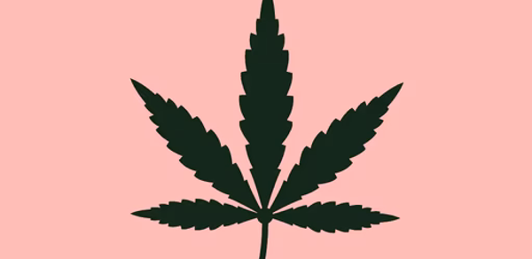 Expo Cannabis Argentina Header - AppWisp.com Expo Cannabis Argentina Header - AppWisp.com