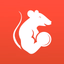 GymRats · Fitness challenge - AppWisp.com