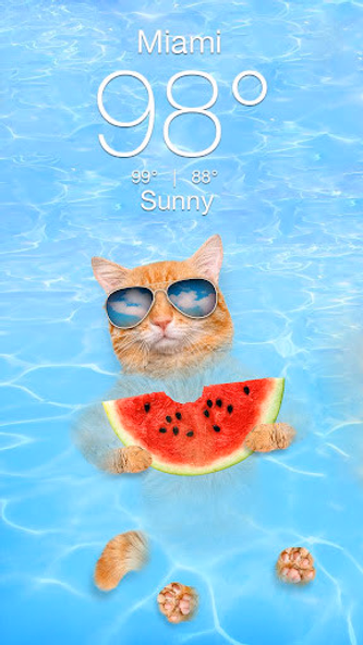 Weather Kitty - App & Widget Screenshot 2 - AppWisp.com Weather Kitty - App & Widget Screenshot 2 - AppWisp.com
