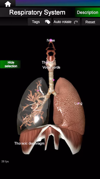 Internal Organs in 3D Anatomy Screenshot 4 - AppWisp.com Internal Organs in 3D Anatomy Screenshot 4 - AppWisp.com