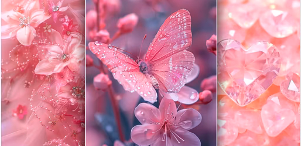 Pink Wallpaper HD background Header - AppWisp.com Pink Wallpaper HD background Header - AppWisp.com