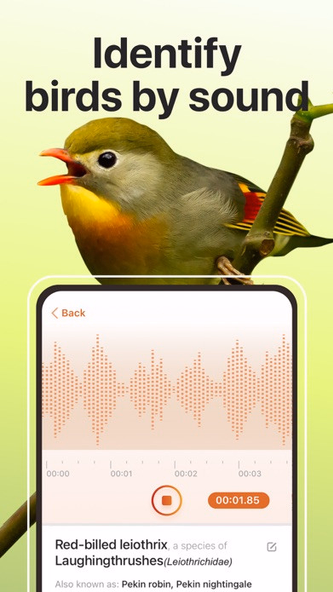 Picture Bird - Bird Identifier Screenshot 4 - AppWisp.com Picture Bird - Bird Identifier Screenshot 4 - AppWisp.com