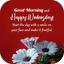 wednesday morning greetings - AppWisp.com