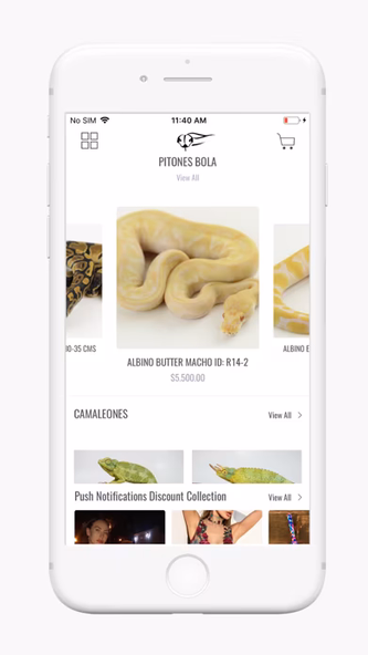 REPTILE TRADE Screenshot 1 - AppWisp.com REPTILE TRADE Screenshot 1 - AppWisp.com