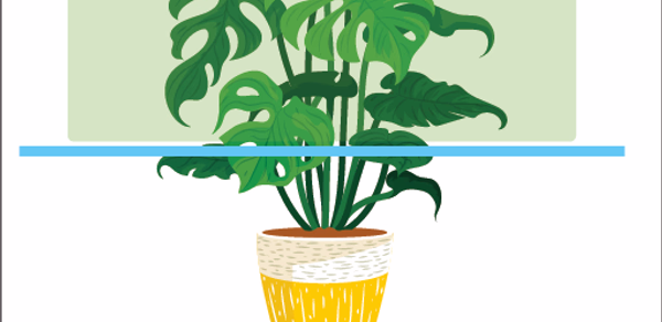 Plant Identifier: Care Info Header - AppWisp.com Plant Identifier: Care Info Header - AppWisp.com