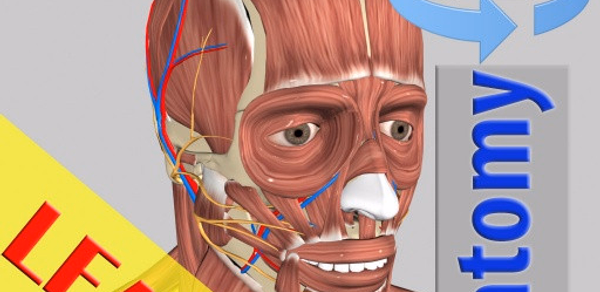 3D Bones and Organs (Anatomy) Header - AppWisp.com 3D Bones and Organs (Anatomy) Header - AppWisp.com
