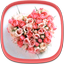 Love Wallpapers Romantic Pics - AppWisp.com