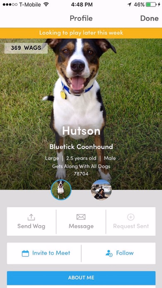 BarkHappy Screenshot 1 - AppWisp.com BarkHappy Screenshot 1 - AppWisp.com