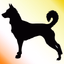 Doggy Language - AppWisp.com