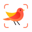 Picture Bird - Bird Identifier - AppWisp.com
