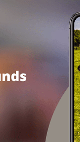 Cow Sounds Screenshot 1 - AppWisp.com Cow Sounds Screenshot 1 - AppWisp.com