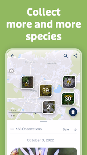 Flora Incognita Screenshot 4 - AppWisp.com Flora Incognita Screenshot 4 - AppWisp.com