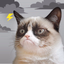 Grumpy Cat's Funny Weather - AppWisp.com
