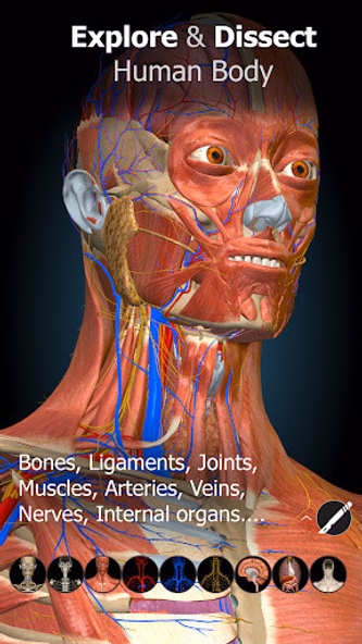 Anatomy Learning - 3D Anatomy Screenshot 1 - AppWisp.com Anatomy Learning - 3D Anatomy Screenshot 1 - AppWisp.com