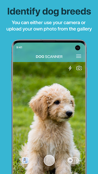 Dog Scanner: Breed Recognition Screenshot 1 - AppWisp.com Dog Scanner: Breed Recognition Screenshot 1 - AppWisp.com